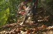 Fléron : parcours VTT rénové